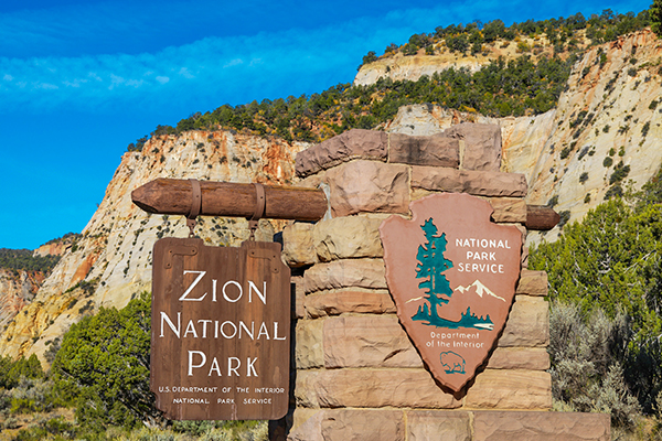 visit Zion in 2025